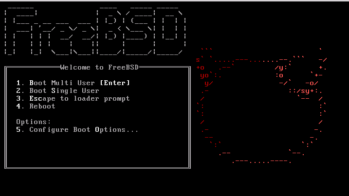 Freebsd dns server настройка