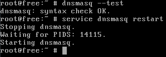 Freebsd очистить кэш dns